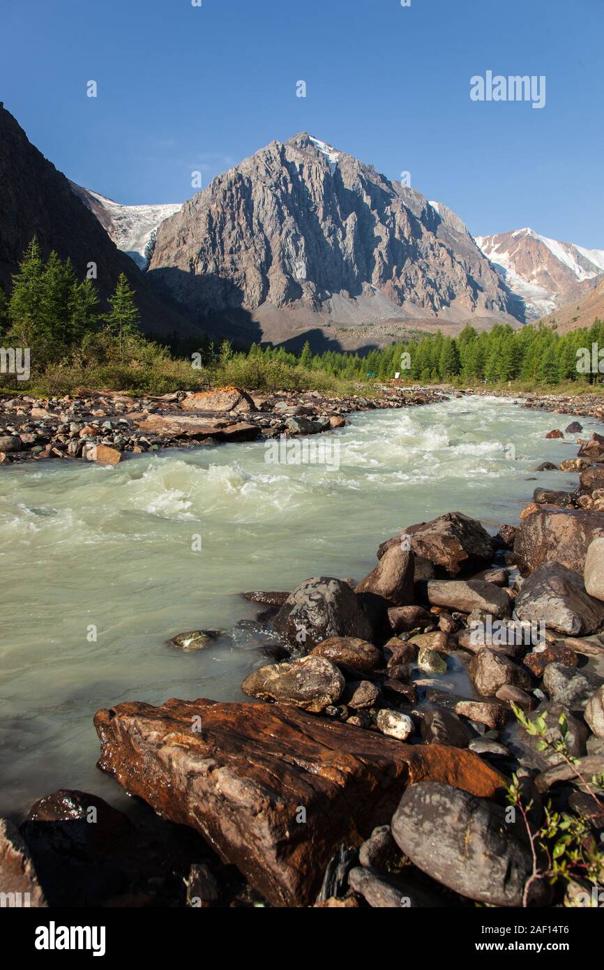 altai mountain and river forest Stock Photo