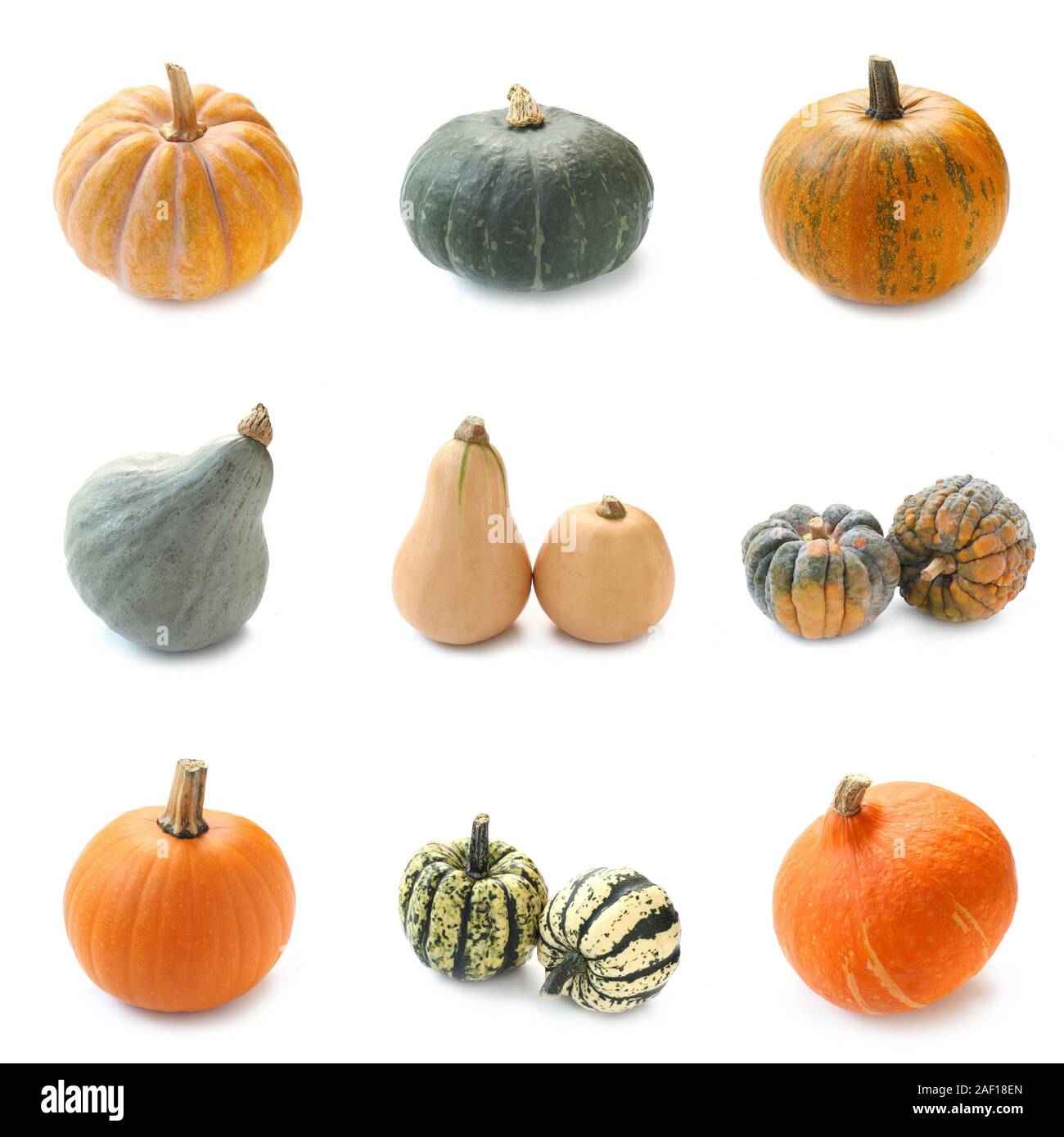 Collage Of Various Types Of Pumpkin Isolated On White Stock Photo