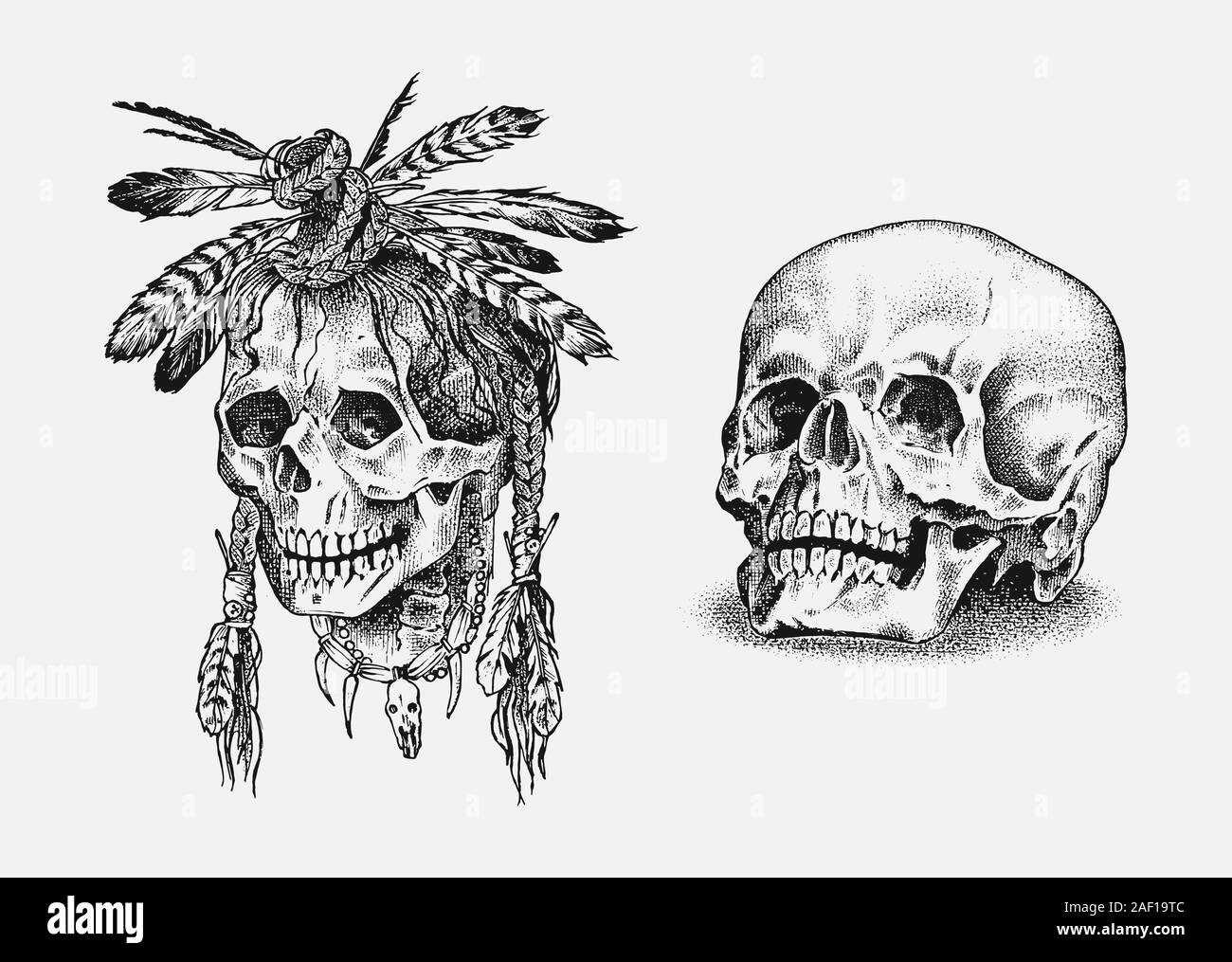 Tribal Skull Tattoo Stock Illustrations  4679 Tribal Skull Tattoo Stock  Illustrations Vectors  Clipart  Dreamstime