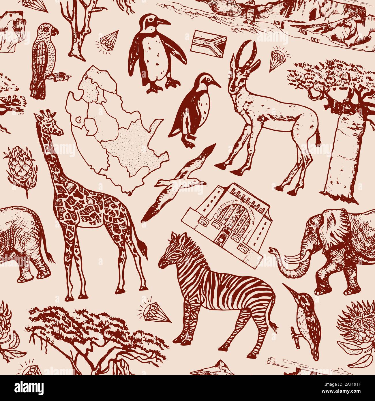 Africa doodle vintage Seamless pattern background. Wild animals in safari isolated on white background. Giraffe and zebra, map and birds. Hand drawn Stock Vector