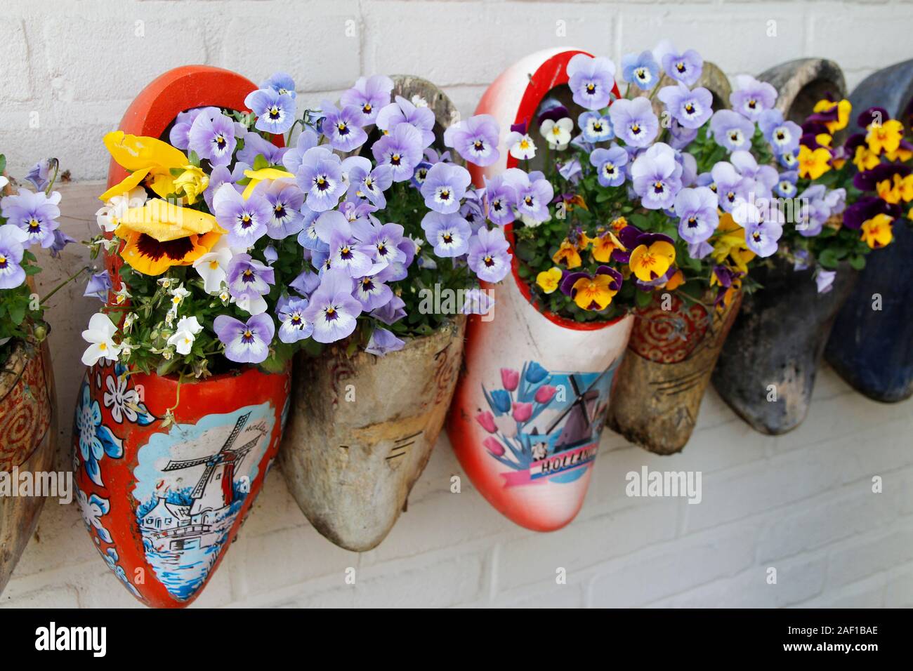 Dutch old wooden clogs decorated with blooming flowers hanging on the wall, Netherlands Stock Photo
