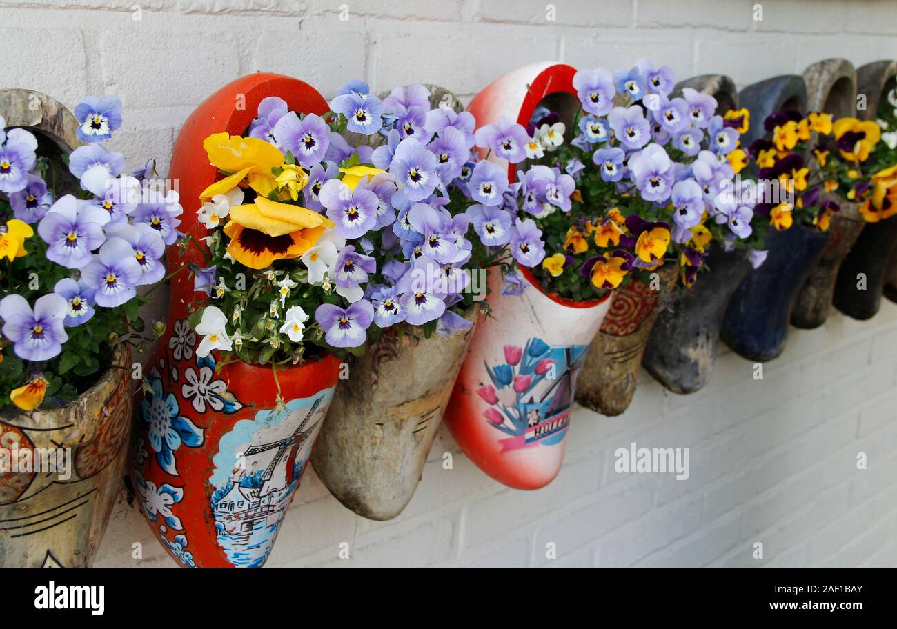 Dutch old wooden clogs decorated with blooming flowers hanging on the wall, Netherlands Stock Photo