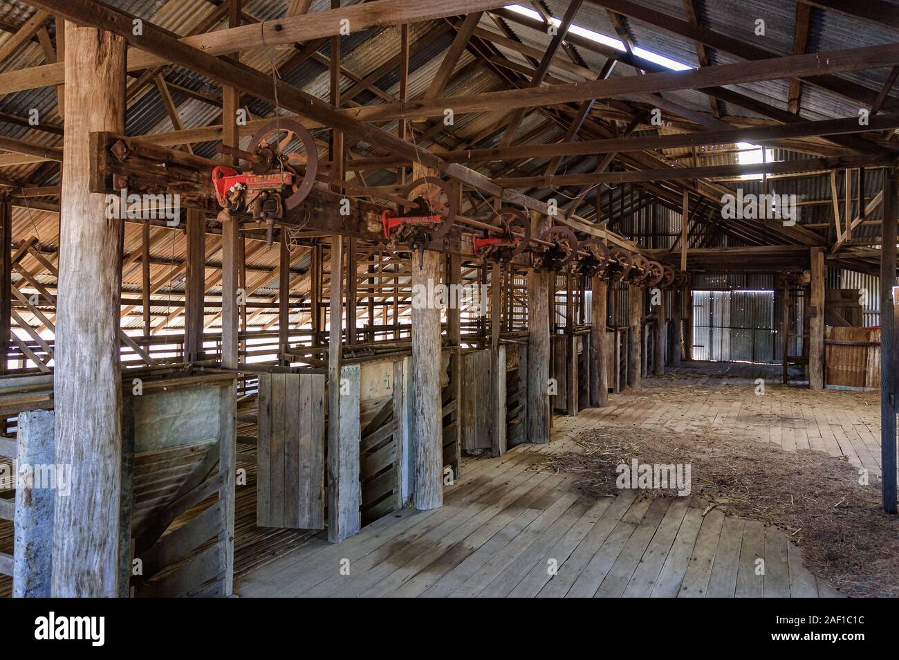 Shearing stand