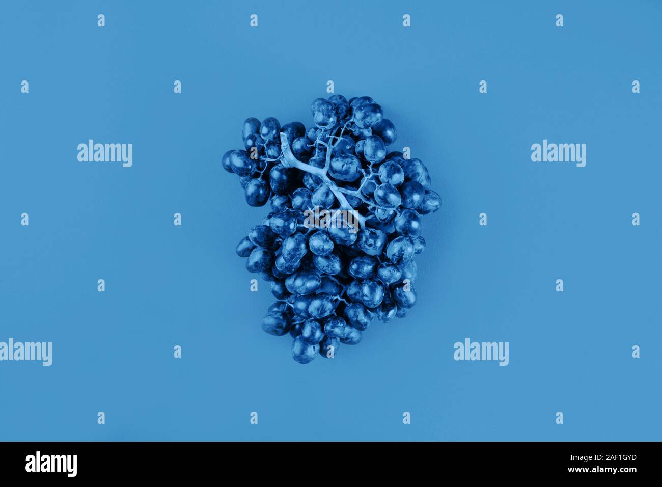Fresh dark grapes on classic blue color of 2020 background Stock Photo