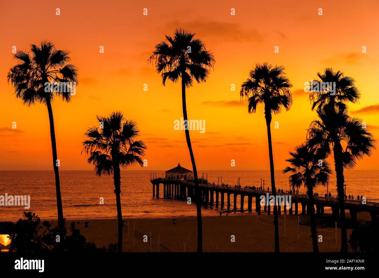 Palm trees on Manhattan Beach at sunset, Los Angeles, California Stock Photo