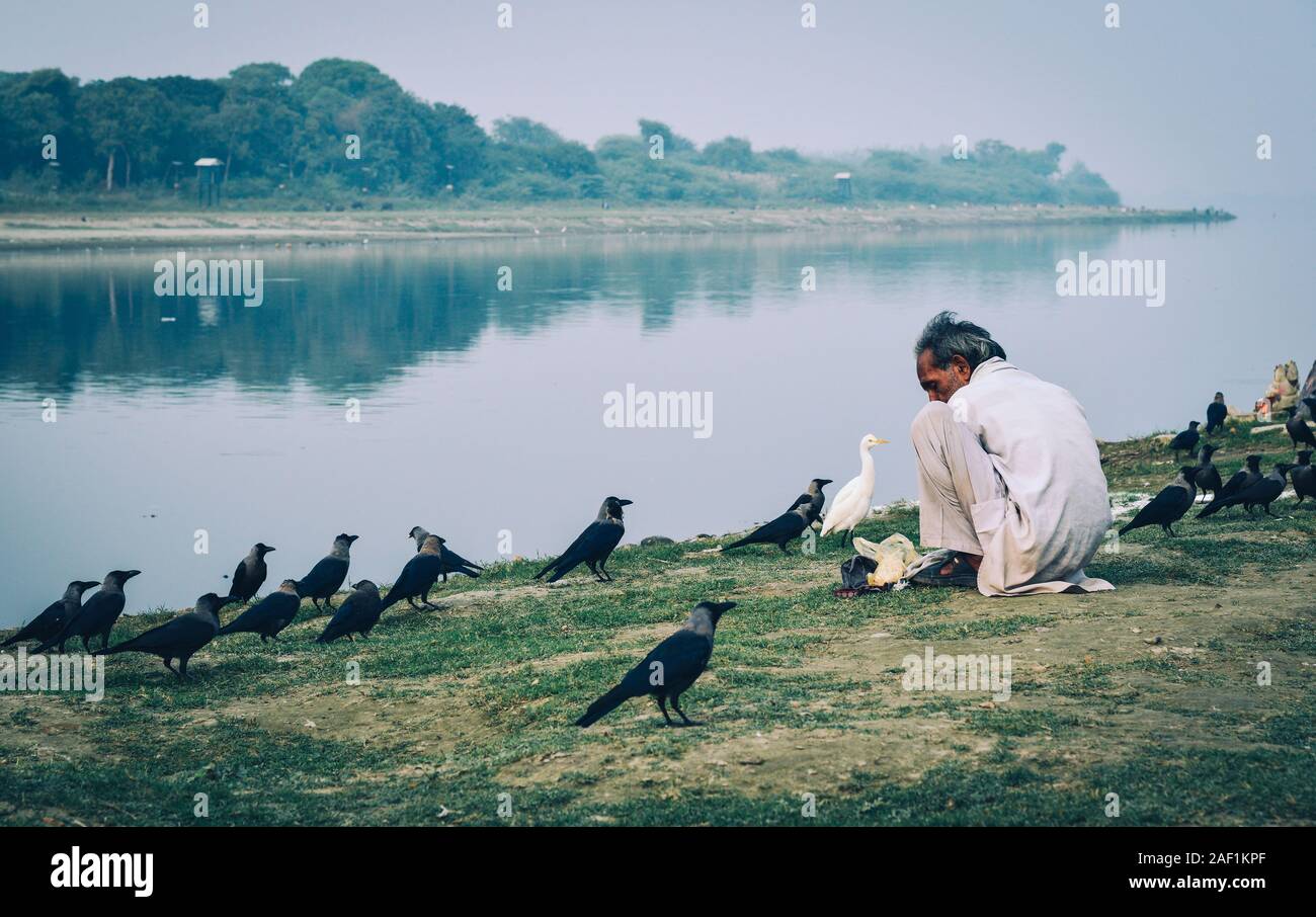 Agra, India - Nov 11, 2017. An Indian man feeding birds on riverbank in Agra, India. Most Indian people do not eat birds and wild animals Stock Photo - Alamy Agra, India - Nov 11, 2017. An Indian man feeding birds on riverbank in Agra, India. Most Indian people do not eat birds and wild animals Stock Photo - Alamy