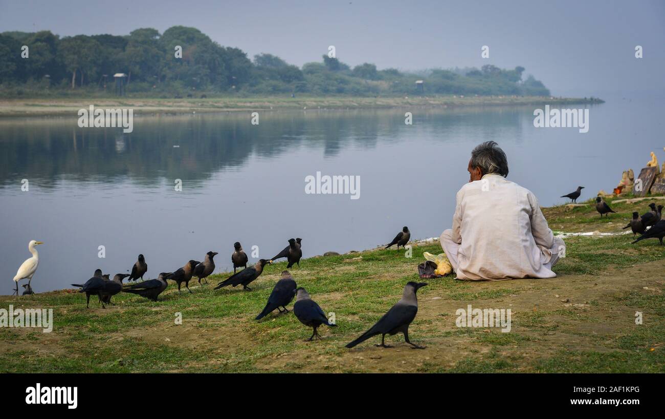 Agra, India - Nov 11, 2017. An Indian man feeding birds on riverbank in Agra,  India. Most Indian people do not eat birds and wild animals Stock Photo -  Alamy