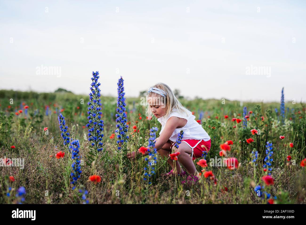 Children picking flowers hires stock photography and images Alamy