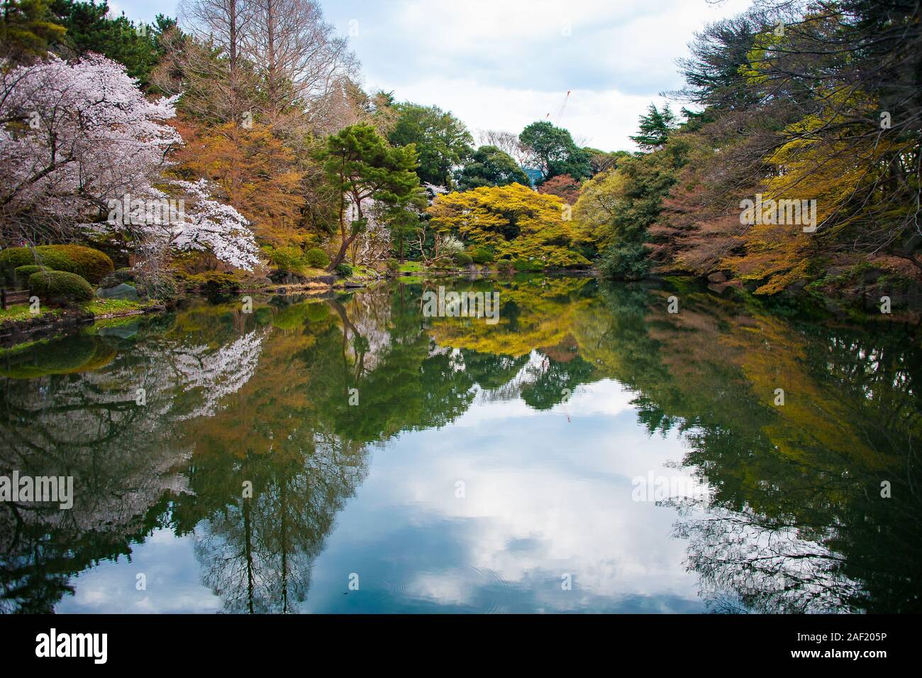 Reflected in mirror tokyo japan hi-res stock photography and images - Alamy
