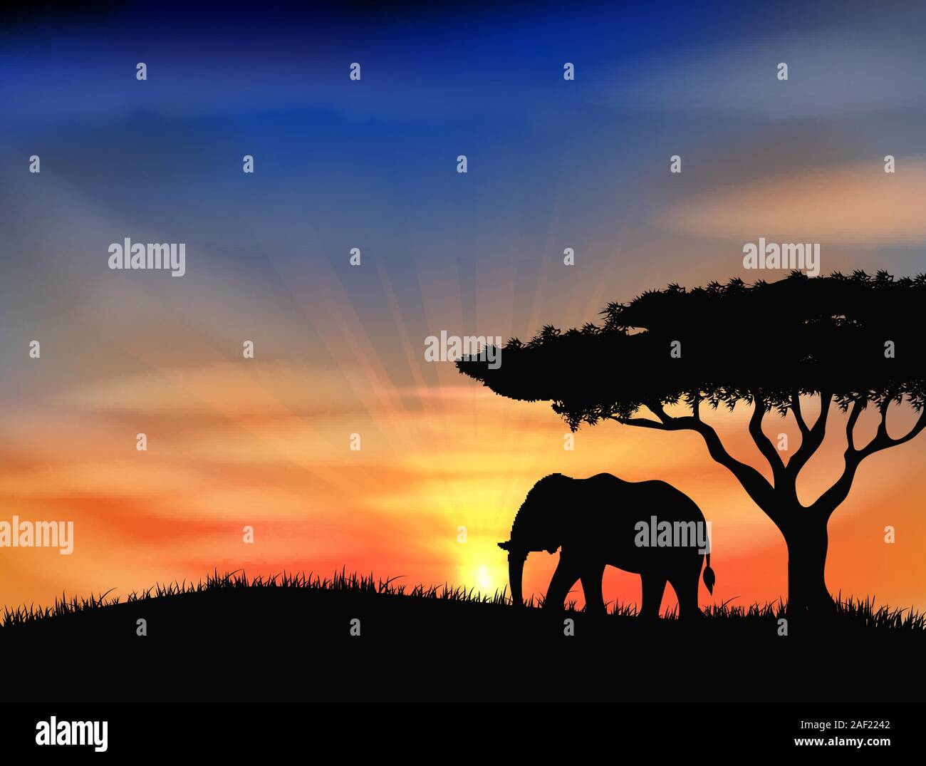 Sunset at africa. Vector illustration Stock Vector Image & Art - Alamy