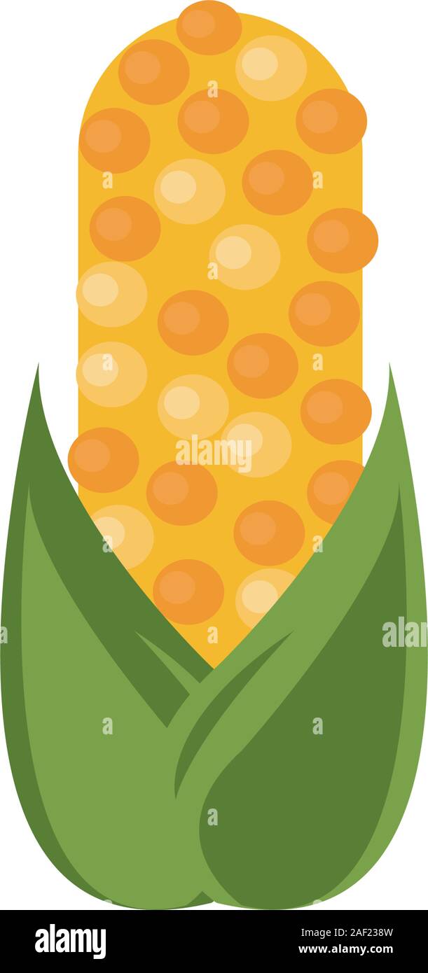 corn cob vegetable thanksgiving icon Stock Vector Image & Art - Alamy