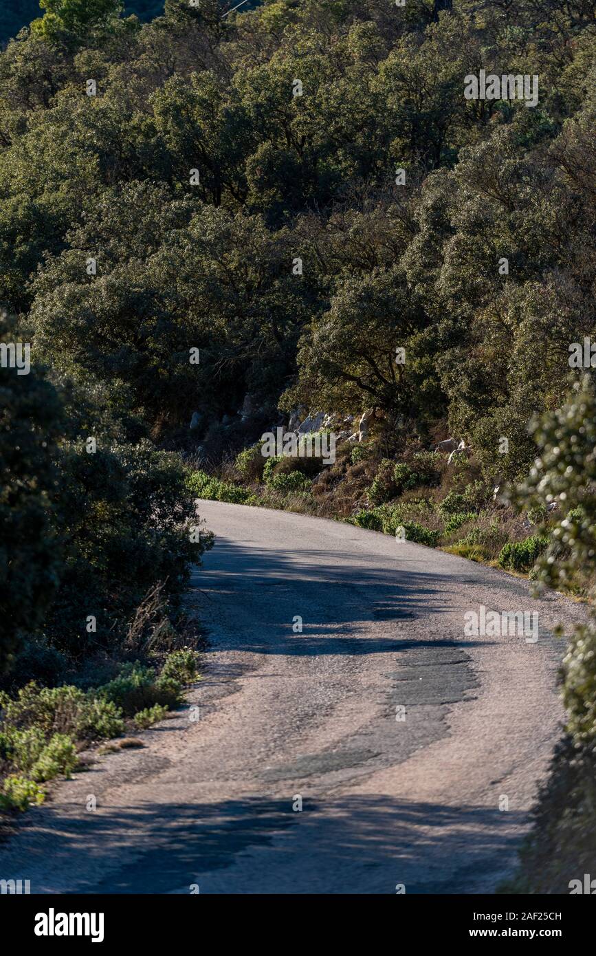 Narrow road in the mountains, Torremanzanas village, Alicante province, Costa Blanca, Spain Stock Photo