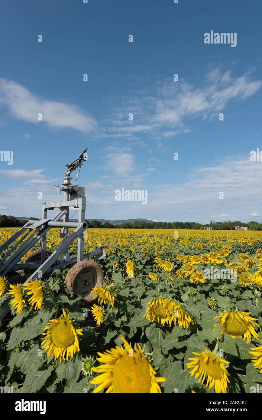 amigos irrigation supply on Irrigation Department High Resolution Stock Photography And Images Alamy