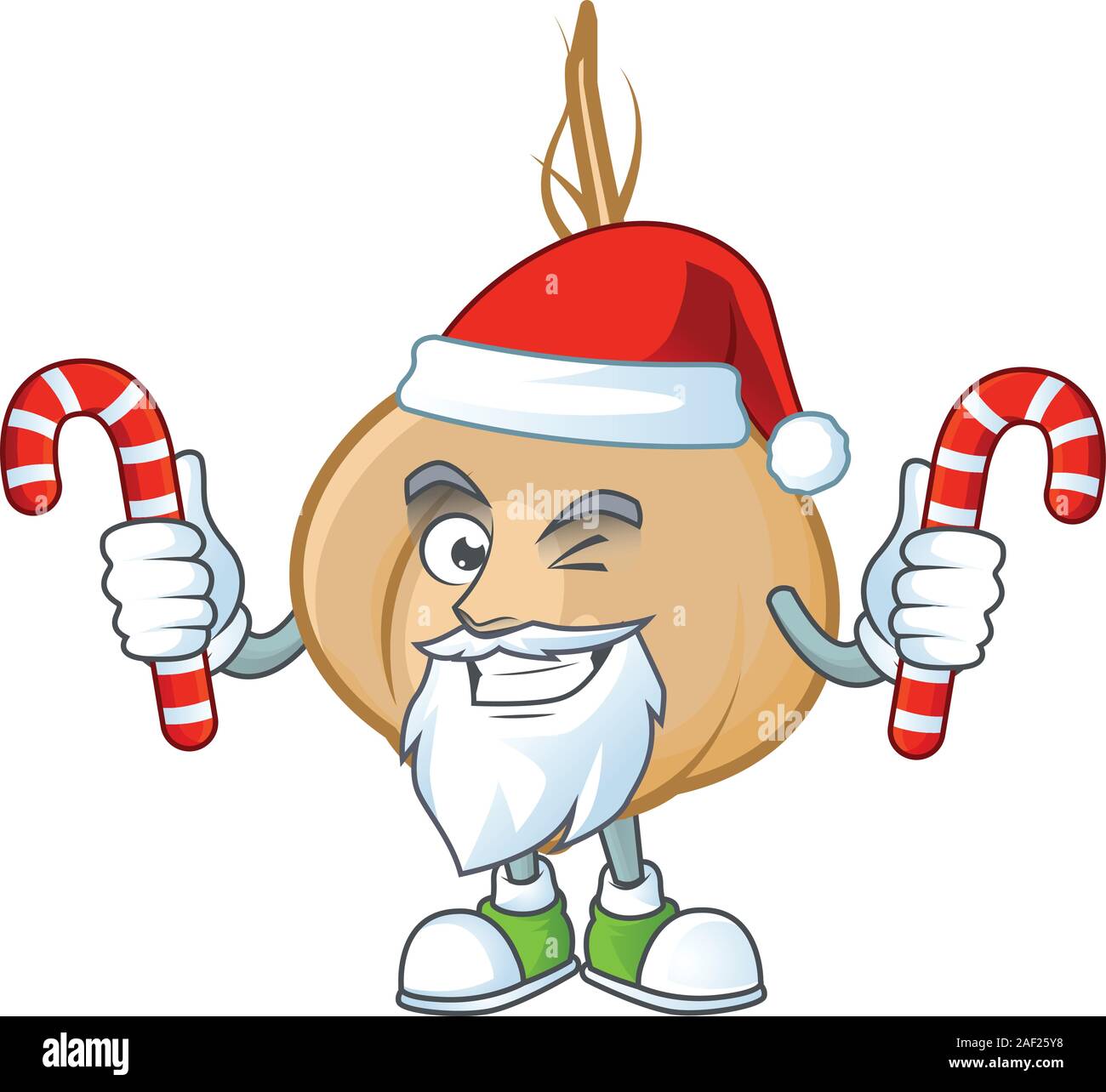 Jicama Cartoon character in Santa with candy Stock Vector