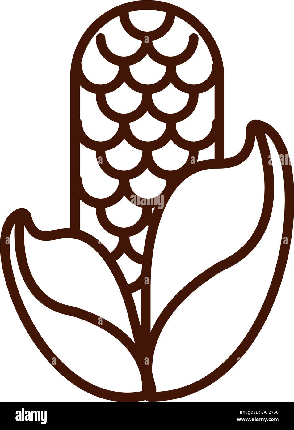 corn cob vegetable thanksgiving icon Stock Vector Image & Art - Alamy