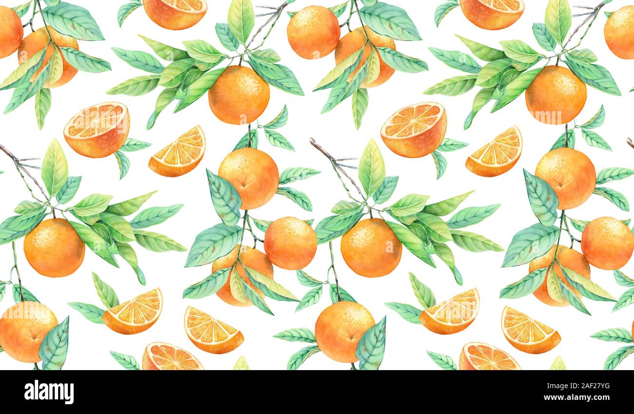 Orange tree seamless pattern. Watercolor branch with ripe fruits. Realistic botanical floral surface design isolated on white. Hand drawn illustration Stock Photo