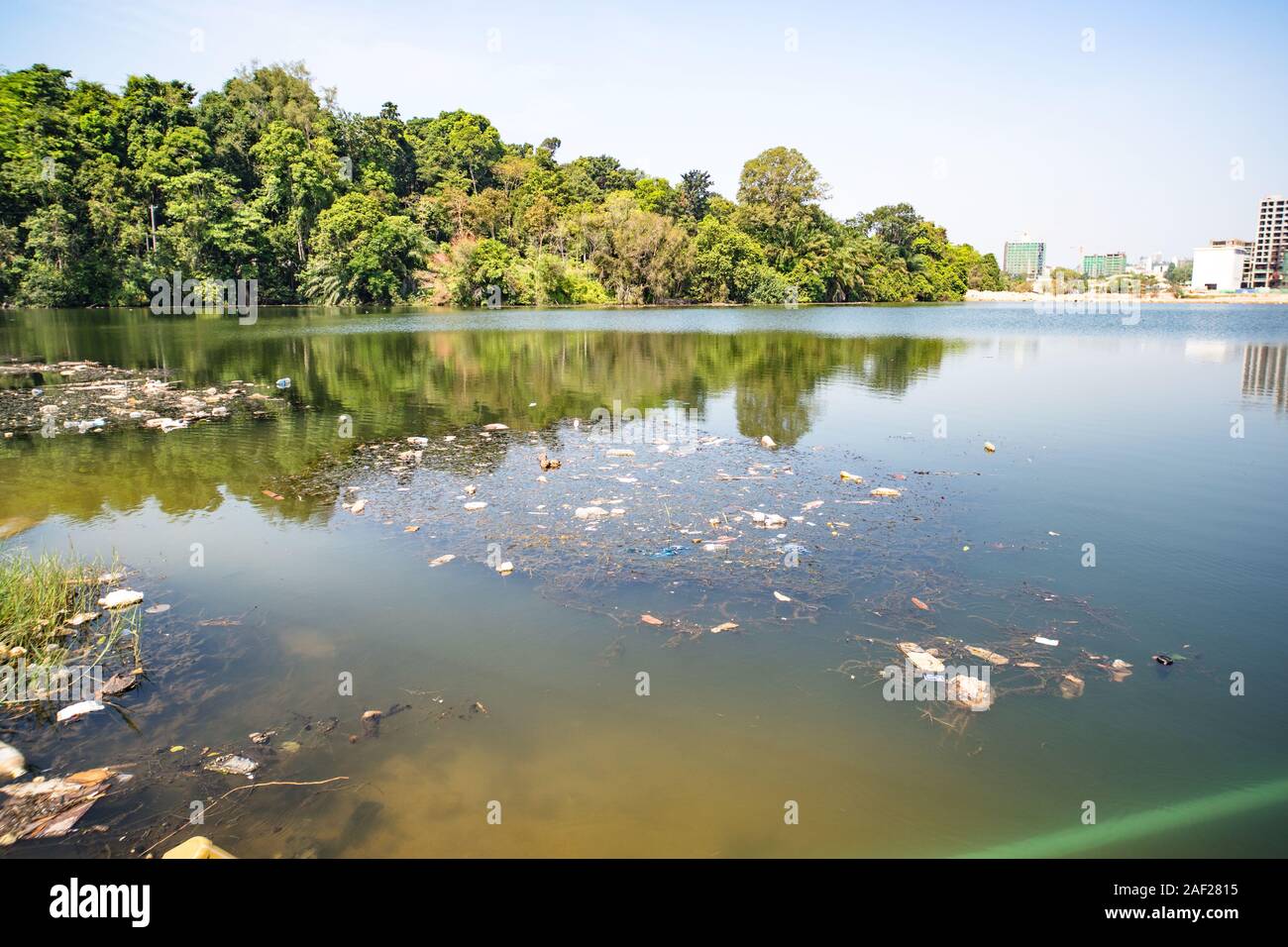 City dump in the pond in the Park. Garbage lies in the water on one of the urban landscape. plastic bottles were thrown into the water. Stock Photo