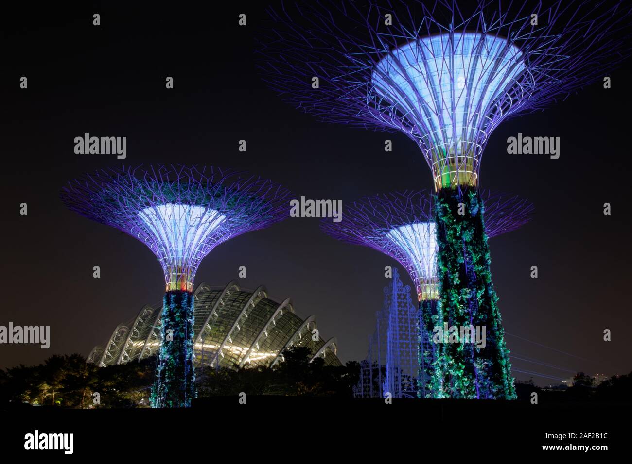 Supertrees at Gardens by the Bay in Singapore Stock Photo