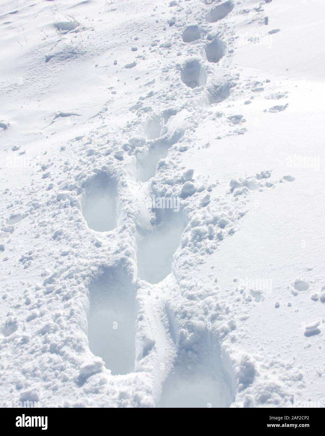 footprints in the snow Stock Photo