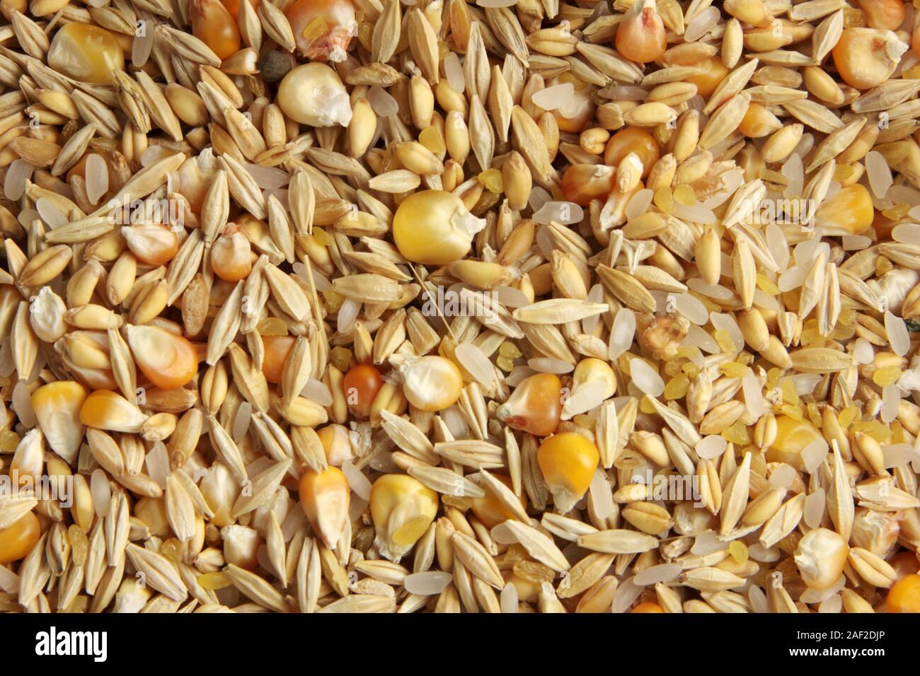 mixed grain background Stock Photo Alamy