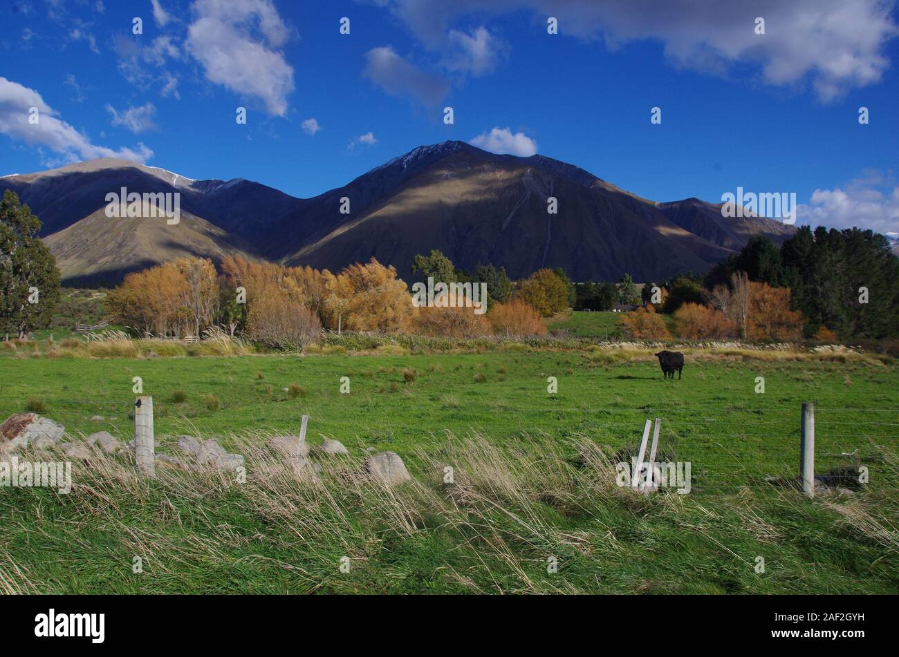 Te Araroa Trail. South Island. New Zealand Stock Photo Alamy