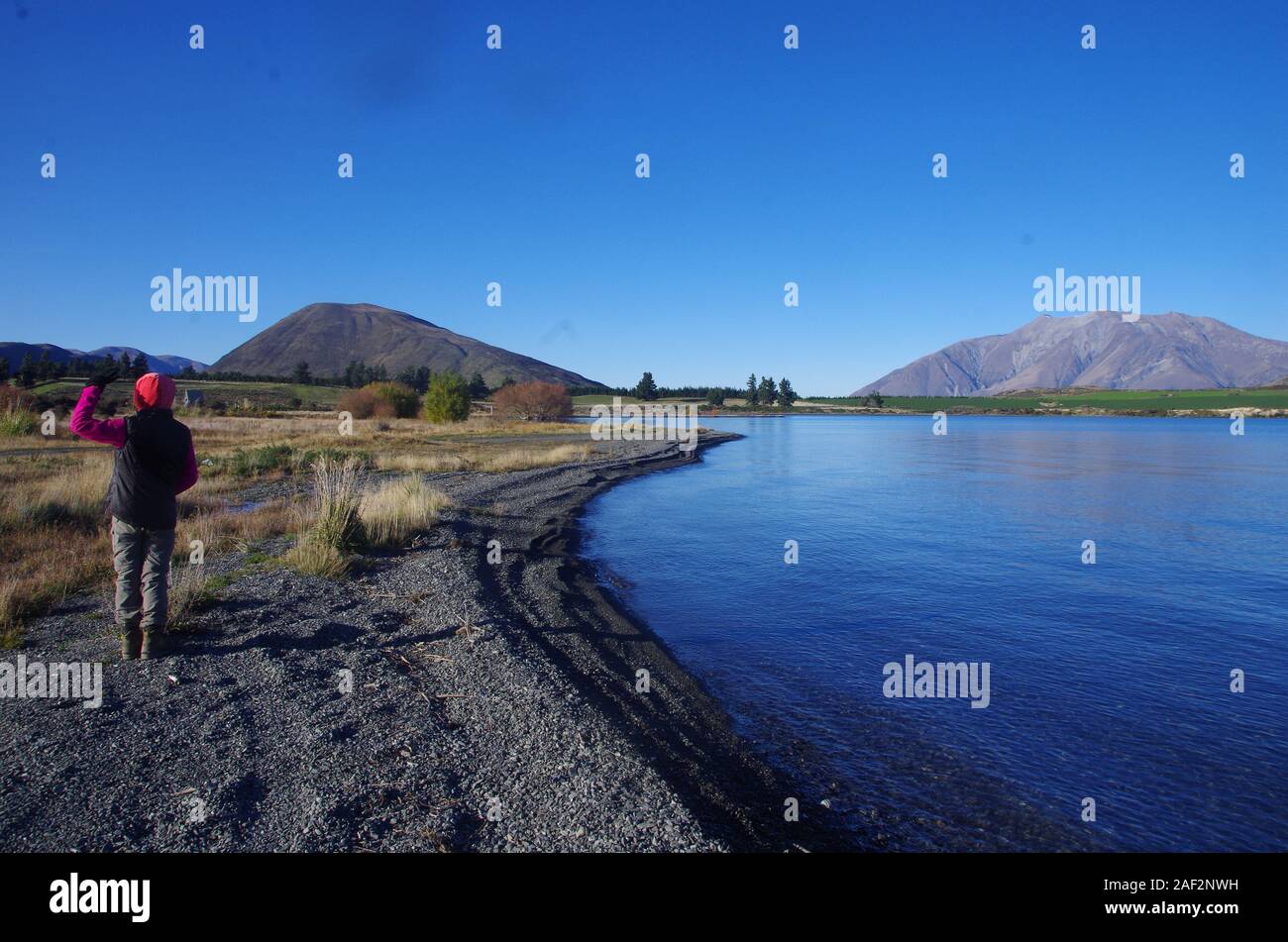 Te Araroa Trail. South Island. New Zealand Stock Photo Alamy