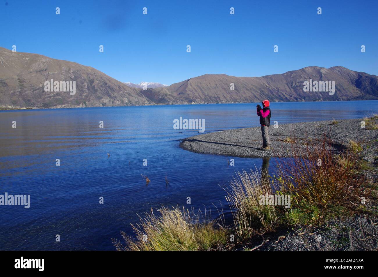 Te Araroa Trail. South Island. New Zealand Stock Photo Alamy