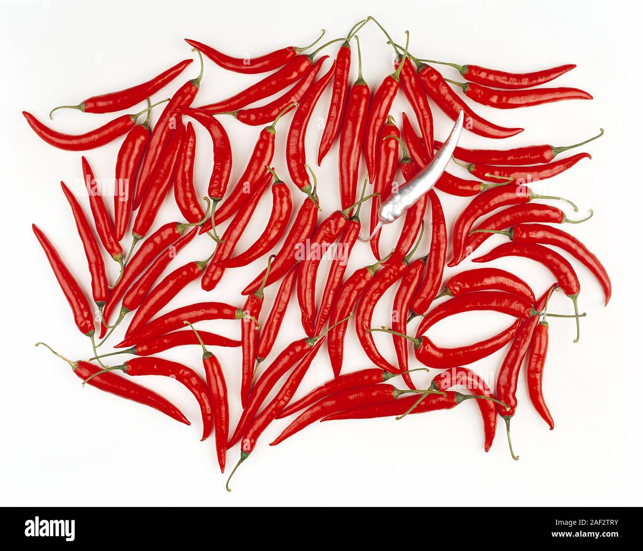 Still life. Food. Odd one out concept. Single, foil wrapped, chilli pepper amongst red chillies. Stock Photo