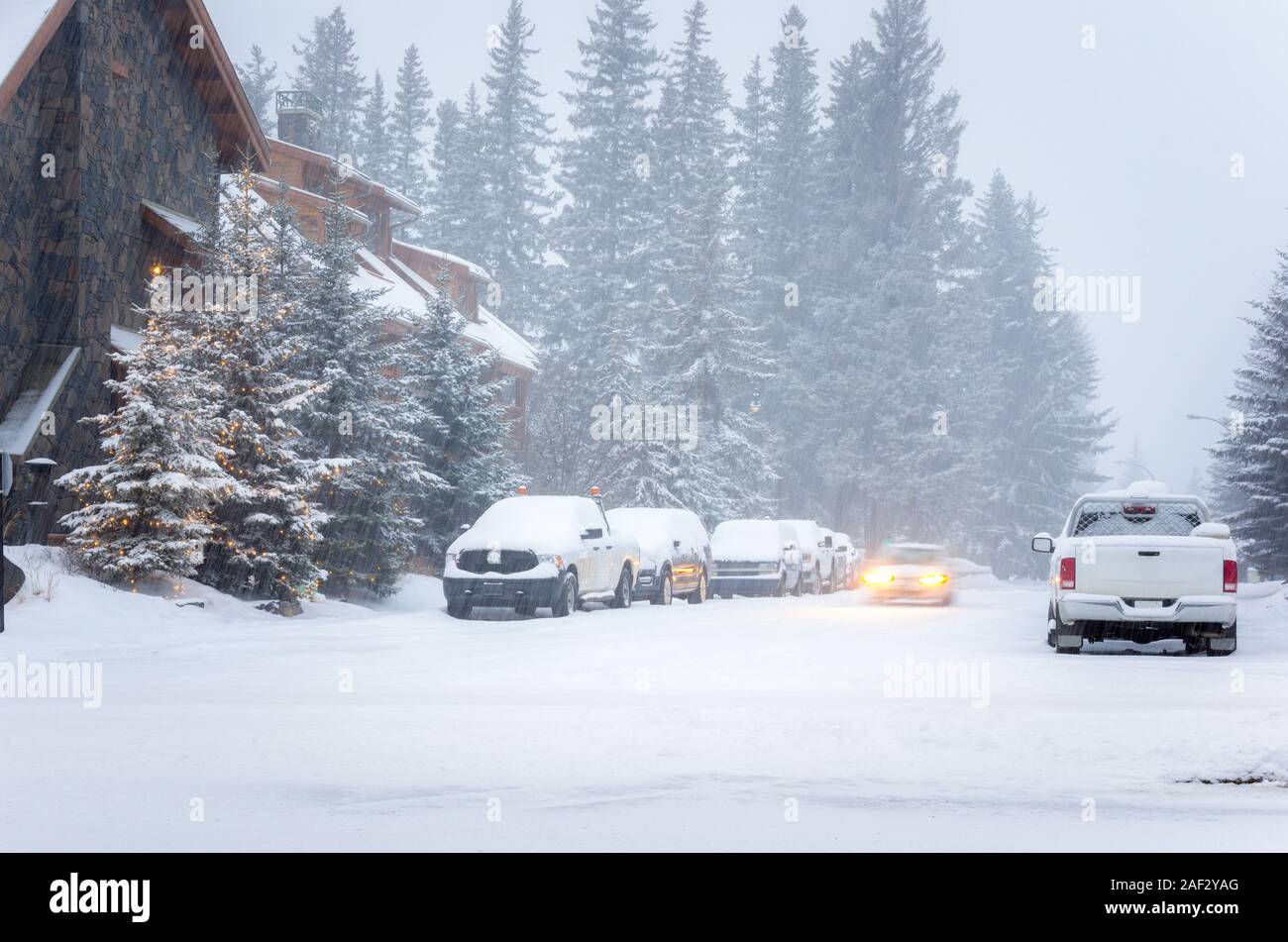 City street with parked vehicles covered in snow during a heavy ...