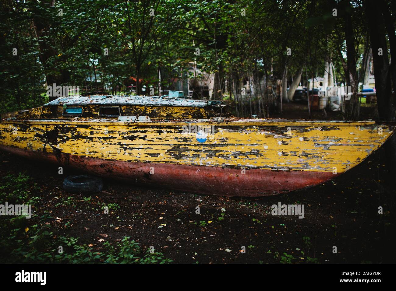Old yellow boat in forest Stock Photo