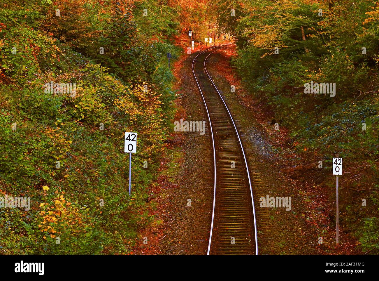 The train tracks lead through the beautiful Ostholstein. Especially in autumn it is worth taking the train. Stock Photo