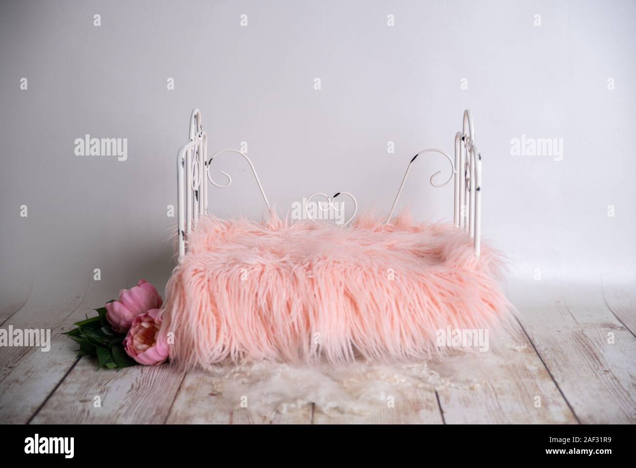 newborn bed photography