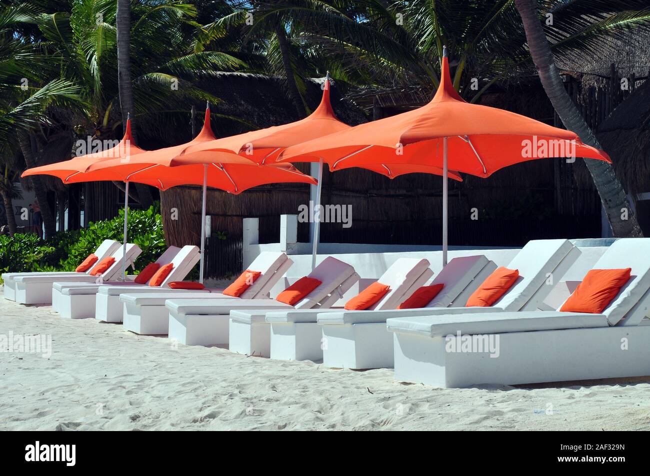 White Lounge Chairs with Orange pillows and Orange Umbrellas all lined up in the Sand. Stock Photo