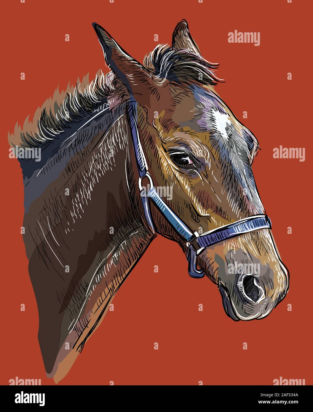 Colorful foal portrait with halter. Young horse head in profile isolated on red background