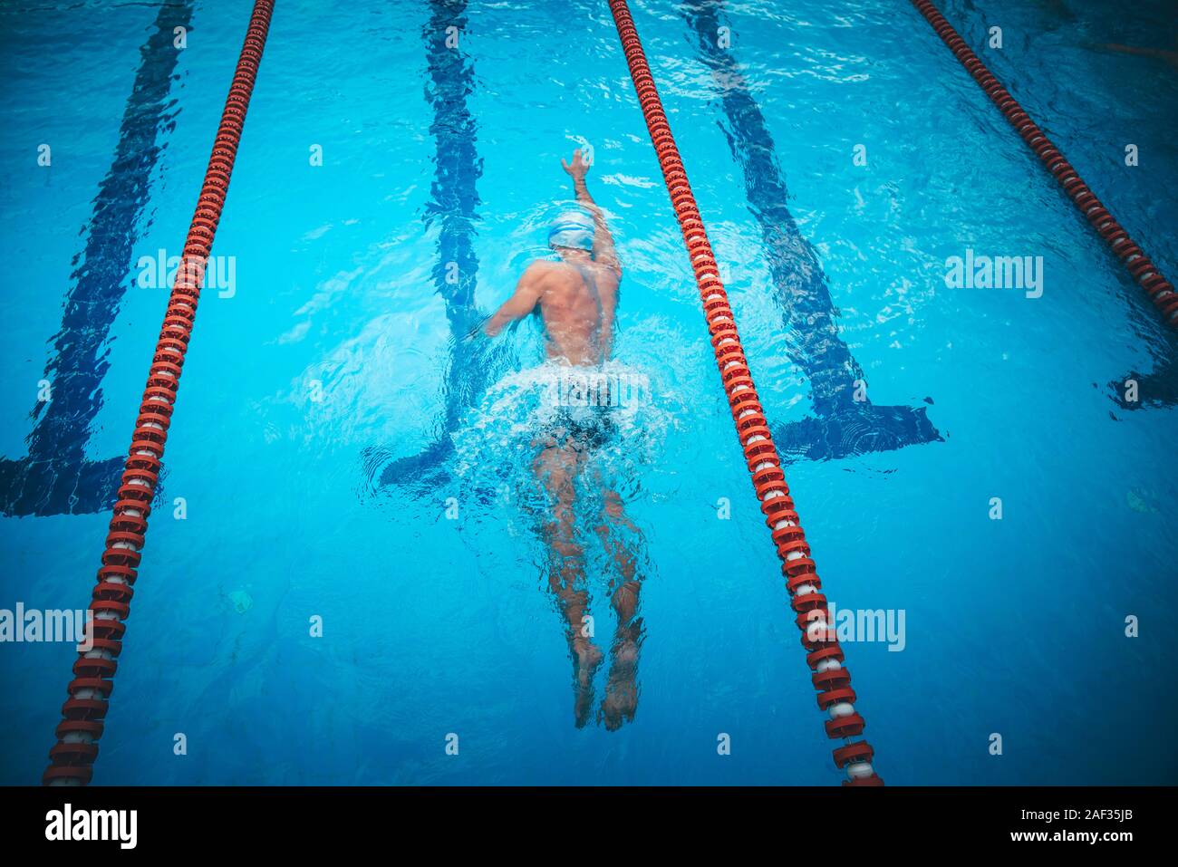 Fit swimmer training in the swimming pool. Professional male swimmer