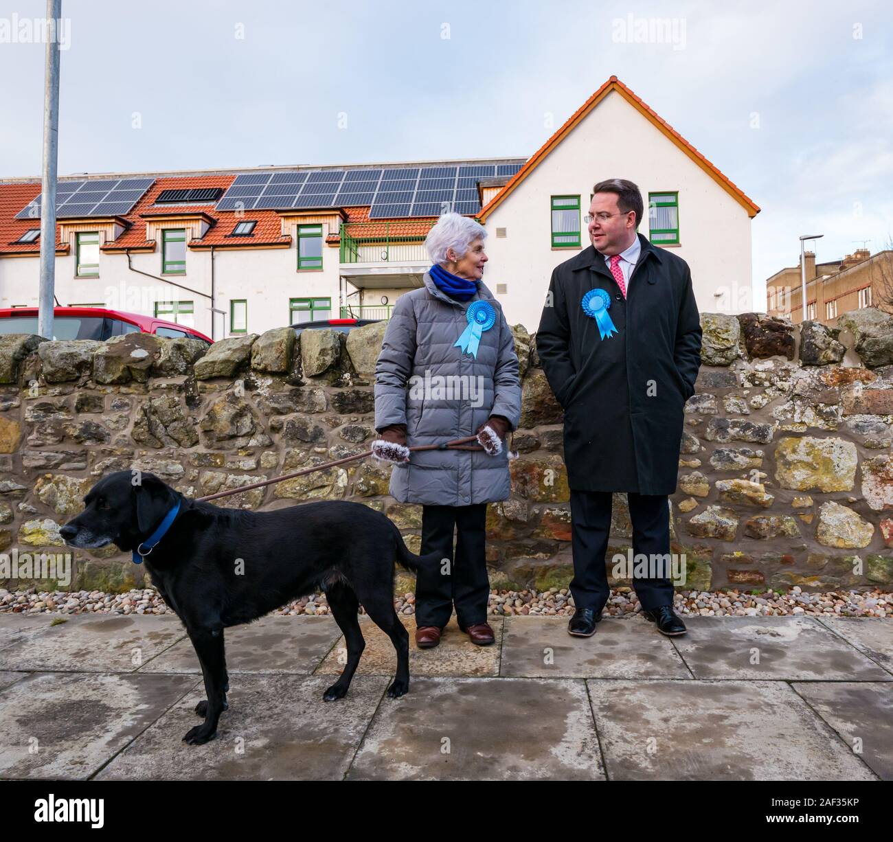 Gullane Bowling Club, East Lothian, Scotland, United Kingdom, 12th December 2019. UK election: A Scottish Conservative Party activist with a Labrador dog on a lead & Craig Hoy, the Scottish Conservative candidate at the local polling place Stock Photo