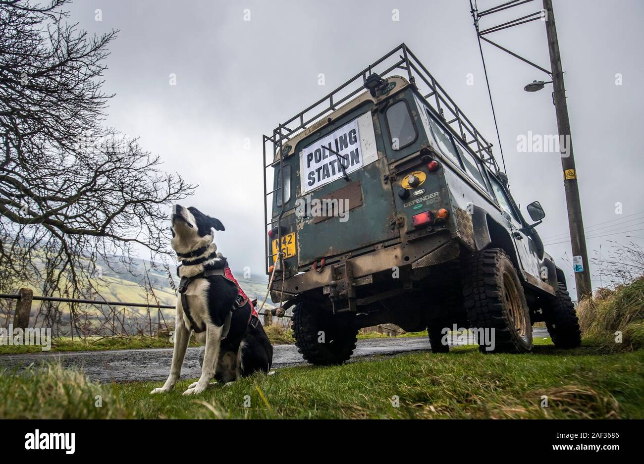 A dog next to a polling station sign on the back of a Land Rover in Low Row, Yorkshire, as voters go to the polls in what has been billed as the most important General Election in a generation. Stock Photo