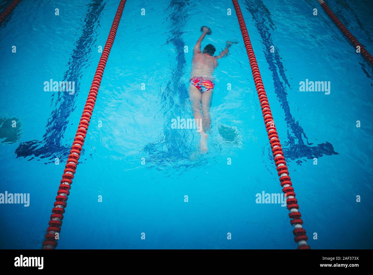 Young male athlete swimming freestyle in pool during competition Stock Photo