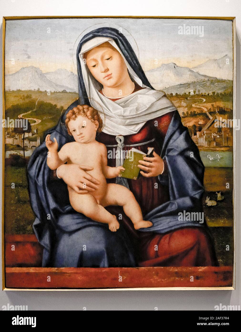 Italy Veneto Rovigo Palazzo Roverella -paintings of the Bellini school - Pasqualino Veneto - Madonna and Child Stock Photo