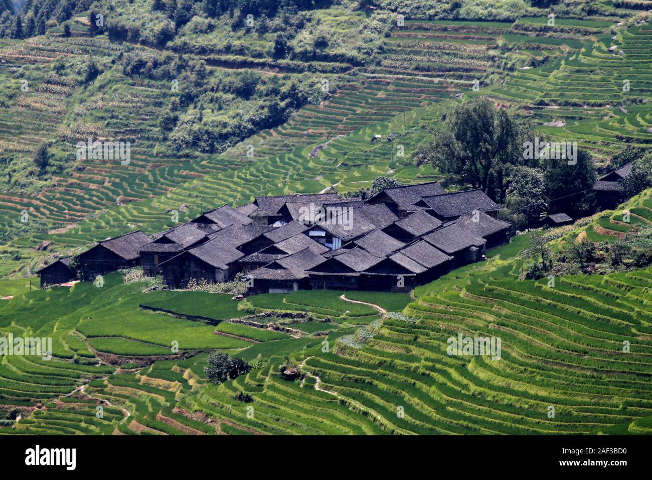 The extraordinary landscape of Longji rice fields Stock Photo - Alamy