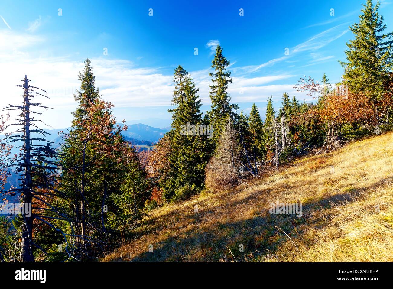 Beautiful mountain landscape, autumn meadows and trees Stock Photo - Alamy