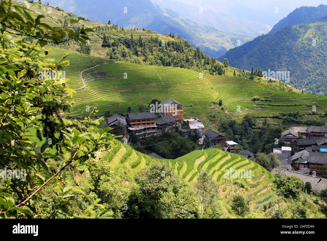 The extraordinary landscape of Longji rice fields Stock Photo - Alamy