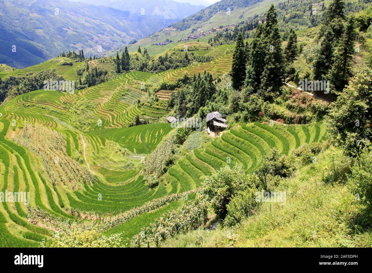 The extraordinary landscape of Longji rice fields Stock Photo - Alamy
