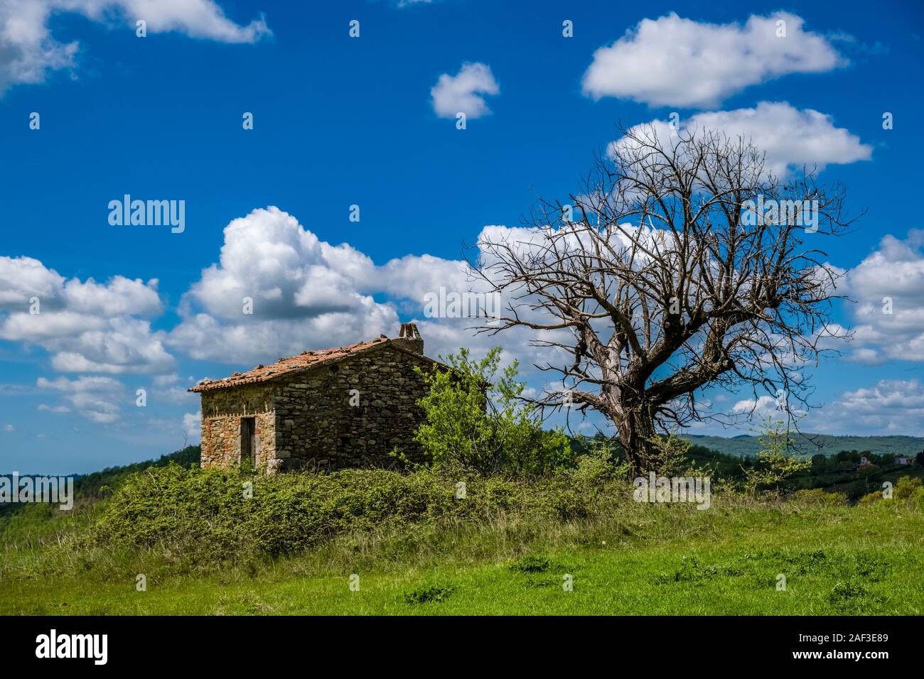 Lonely farmers house with a solitude dead tree on top of a hill, wooded landscape in the distance Stock Photo