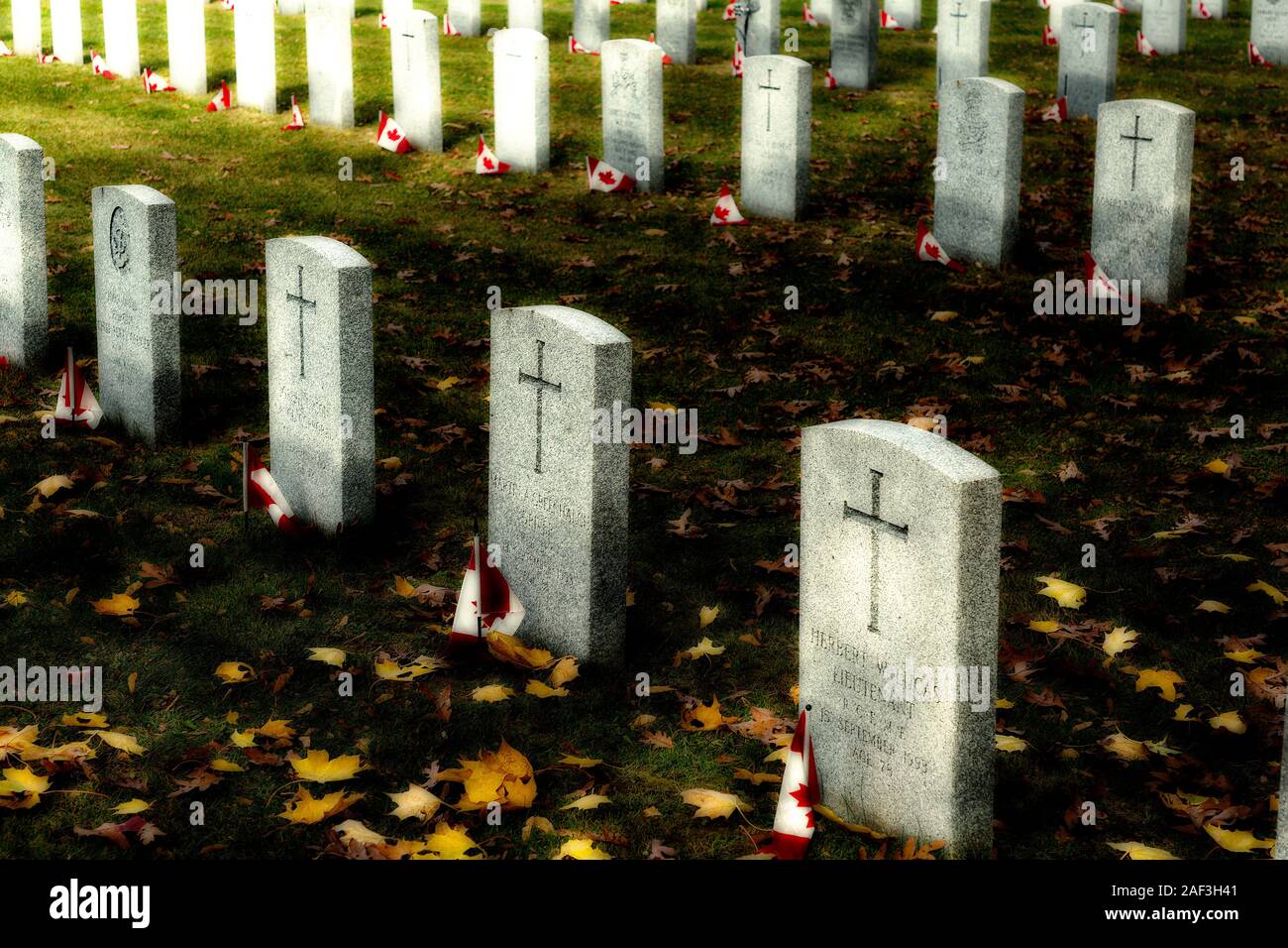 Hamilton Ontario Canada Military cemetery with small Canadian flags. Stock Photo