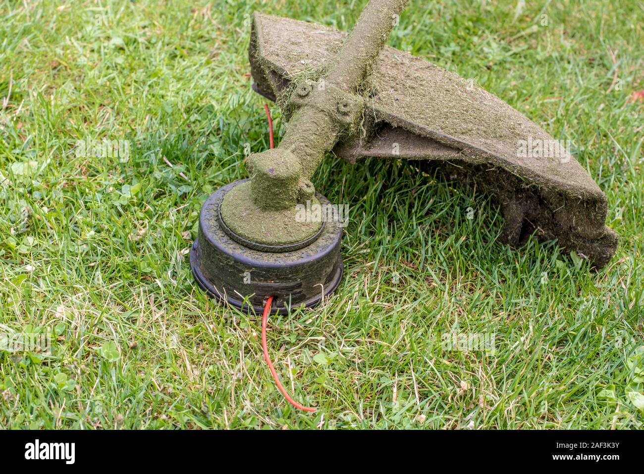 Lawn is mown with brushcutter Stock Photo