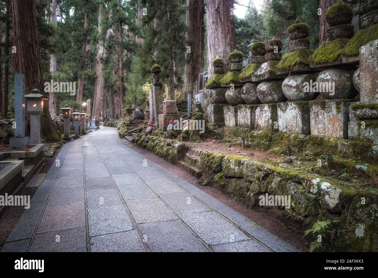 Pathway in Ancient Cemetery inside a Forest, Okunoin Cemetery, Wakayama, Japan. Okunoin Cemetery is the largest Cemetery in Japan. Stock Photo