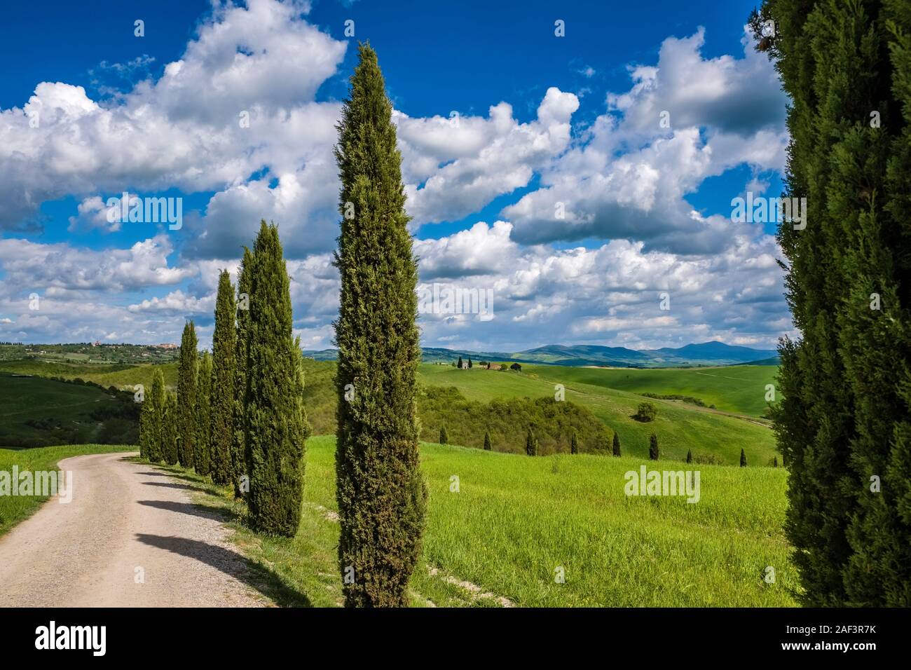 Typical hilly Tuscan countryside in Val d’Orcia with a cypress avenue and cloudy blue sky, Vitaleta chapel, Madonna di Vitaleta in the distance Stock Photo