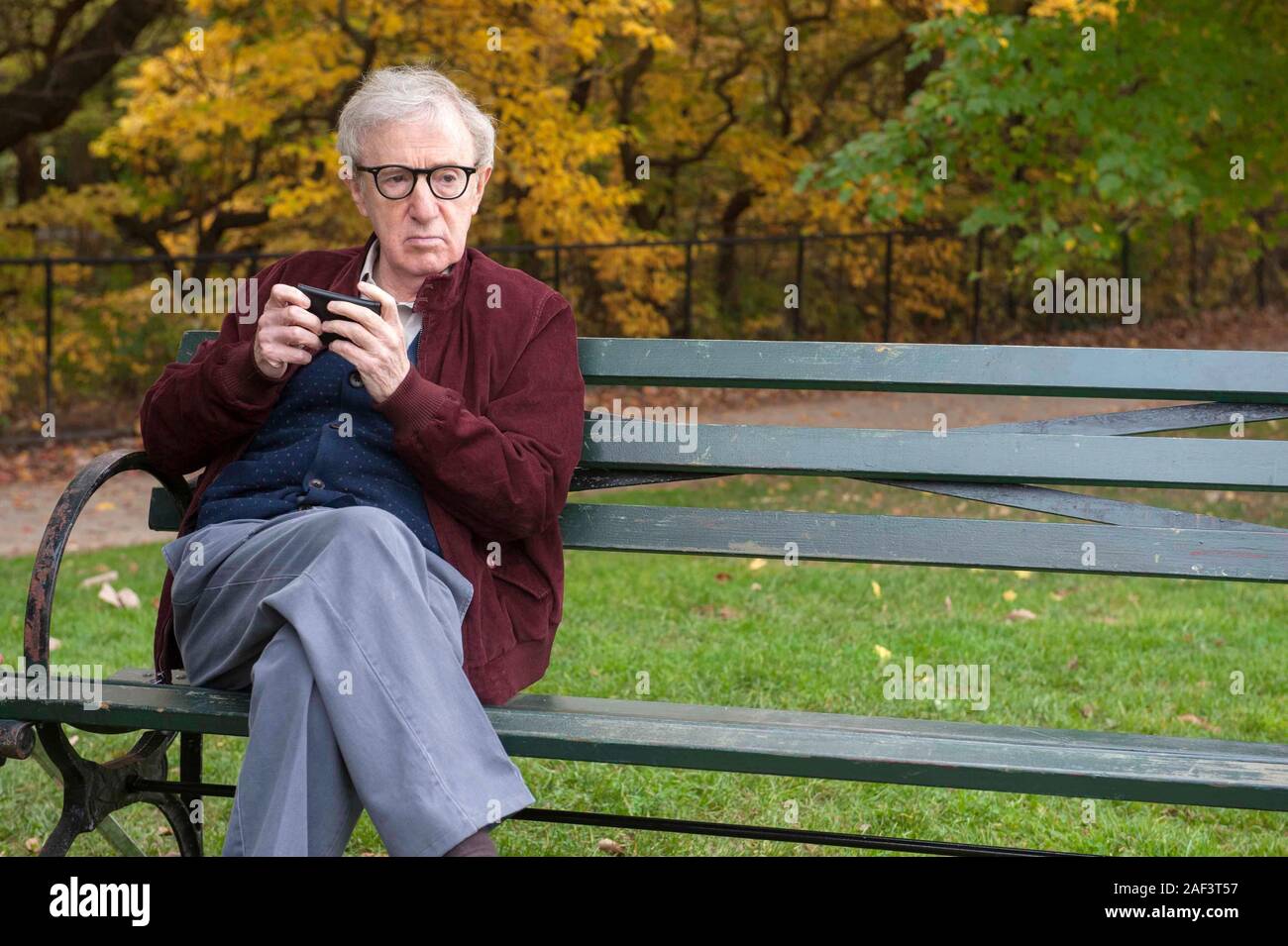 WOODY ALLEN in FADING GIGOLO (2013), directed by JOHN TURTURRO. Credit