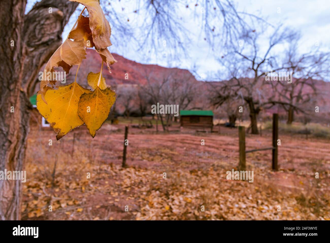 Late Fall at a Historic Ranch In Northern Arizona in Red Rockcountry Stock Photo